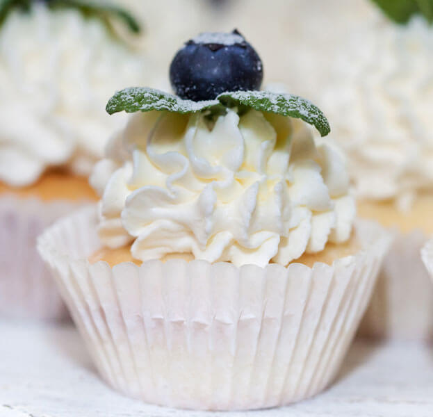 Blueberry Cheesecake Vegan Cupcakes